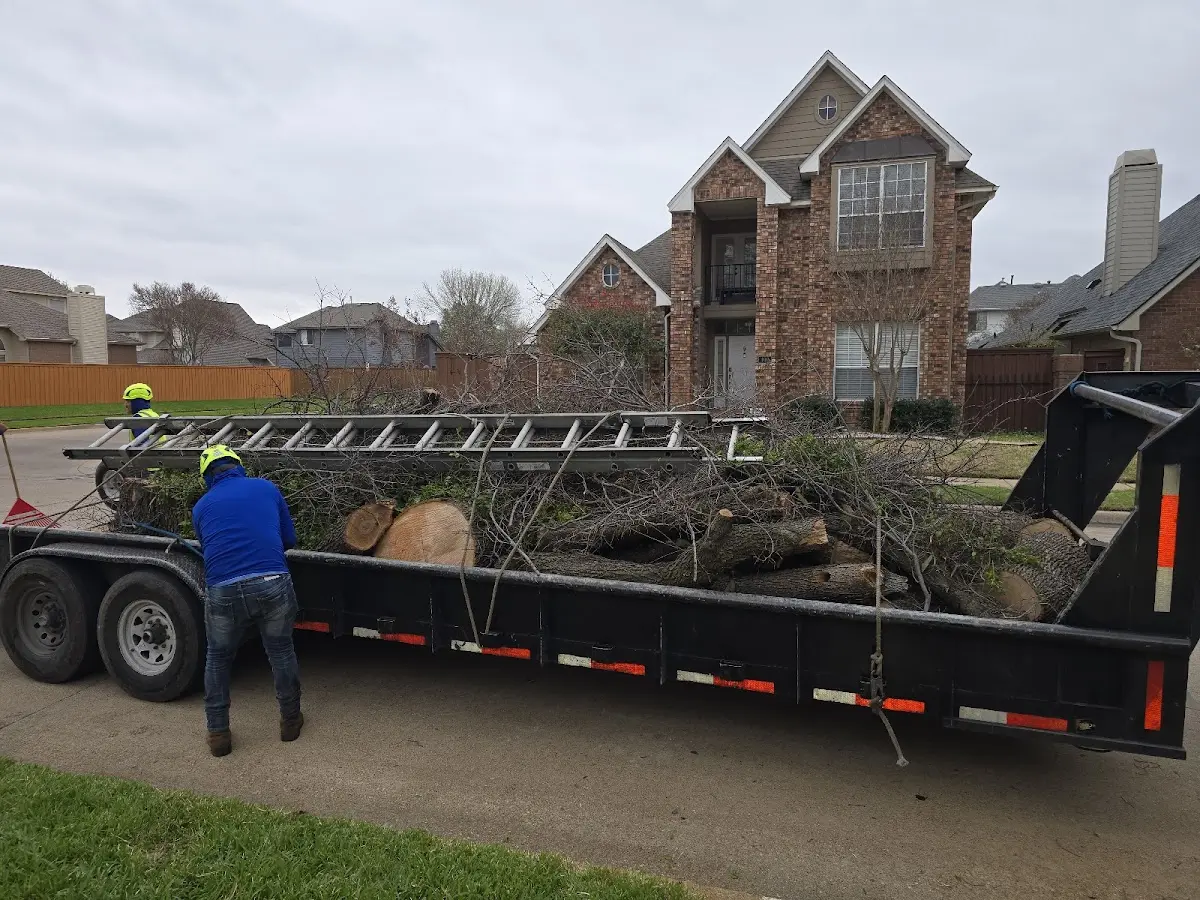 Expert Tree Fertilization with proper safety equipment in Nipton